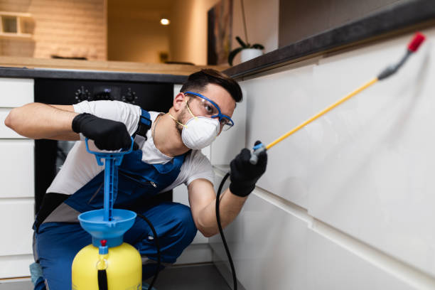 Best Best Pest Control Companies  in Ottawa, IL