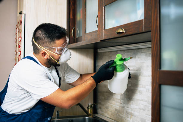 Best Wildlife Control Services  in Ottawa, IL