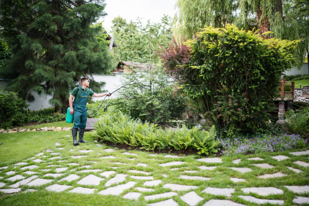 Best Pest Control Near Me in Ottawa, IL