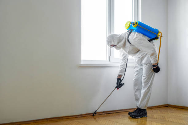 Best Flea Control Services  in Ottawa, IL