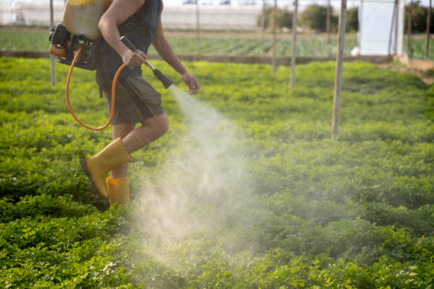 Best Exterminator Services  in Ottawa, IL