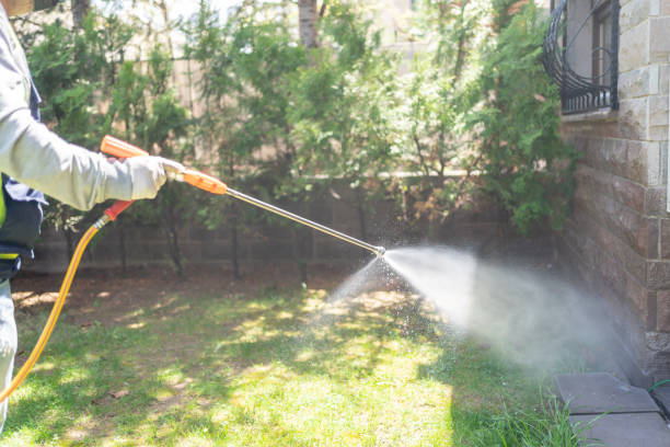 Best Wasp Removal Services  in Ottawa, IL