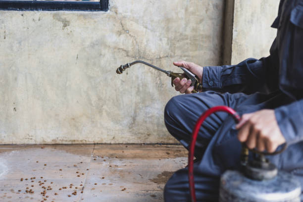 Pest Prevention Services in Ottawa, IL
